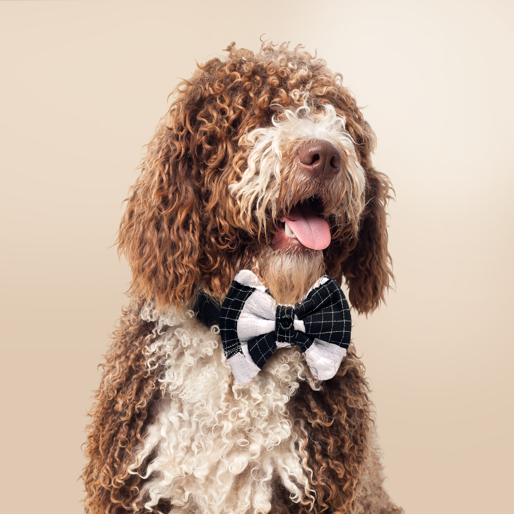 Sustainable Pet Bow Tie Black